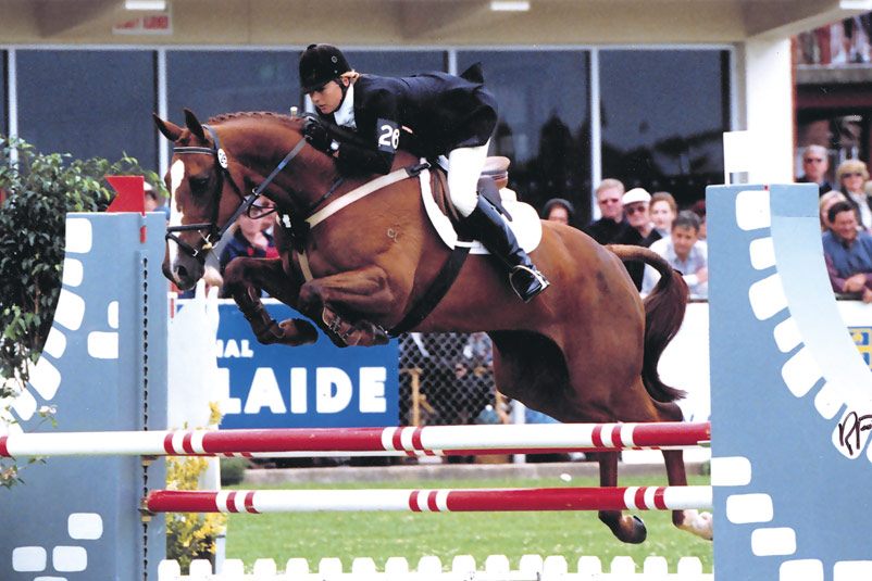 AEA Dutchman showjumping horse and rider